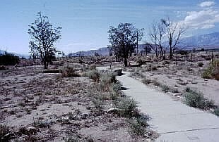 Manzanar camp road.